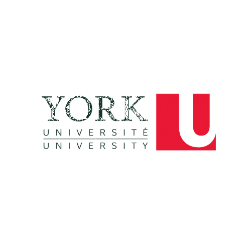 York University