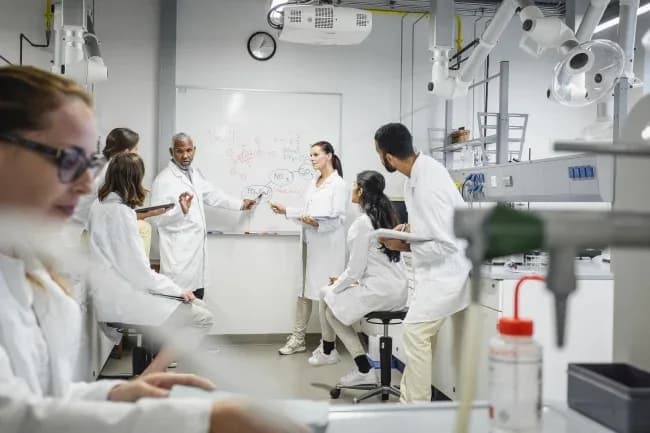 A mentor walking students through research methods at a whiteboard
